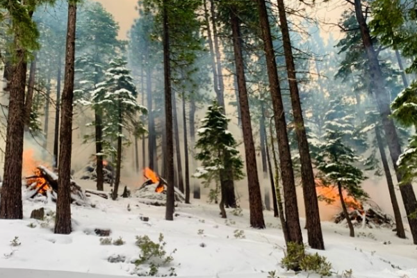 Pile Burns Continue Along Highway 28