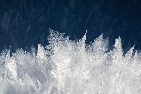 Winter Storm Warning & Avalanche Watch: December 13th