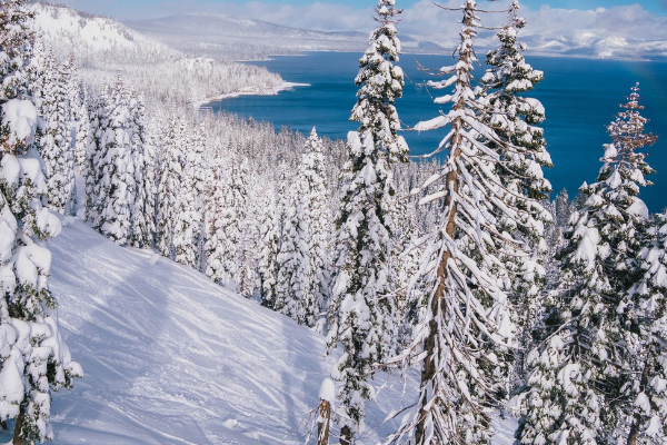 Homewood Mountain Resort Will Not Open for 2024-25 Season