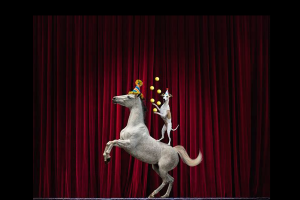 Backroom Deals or Thoughtful Governance? IVGID Board Majority Faces Scrutiny Over GM Appointment