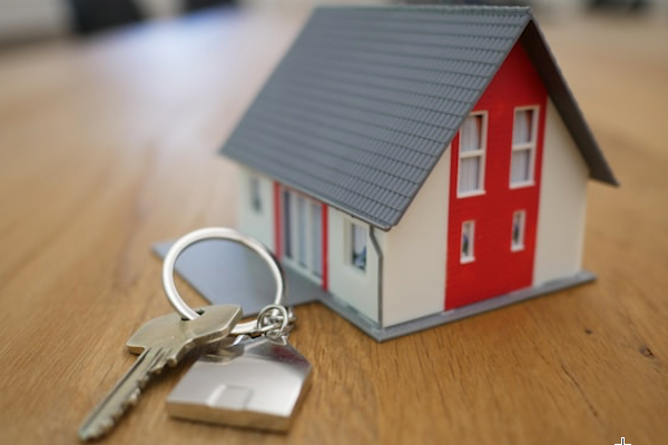 Washoe County Property Taxes Due March 3, 2025